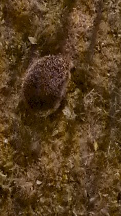 20220522_014518.jpg