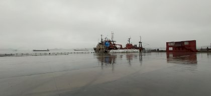 IMG_20200625_093836.jpg