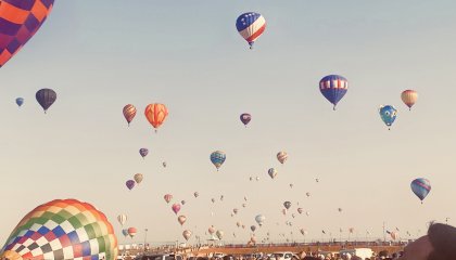 IMG_1686.jpeg