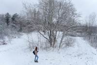 snow.png