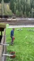 280733420_599607431002855_523116117931791843_n.mp4