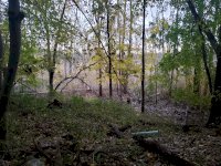 20191021_180321.jpg