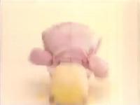 Cute roids.mp4