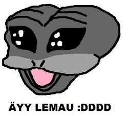 ay.jpg