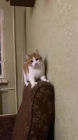 a1P8PXP_460svvp9.webm