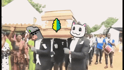 IMG_8157.gif