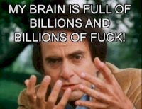 my-brain-is-full-of-billions-and-billions-of-fuck-300x232.jpg