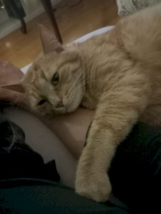 20230707_235229.jpg