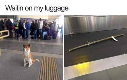 23JL7dse_mA.jpg