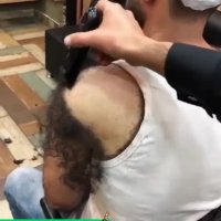 turkish bear.mp4