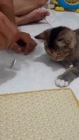 coin_trick.mp4