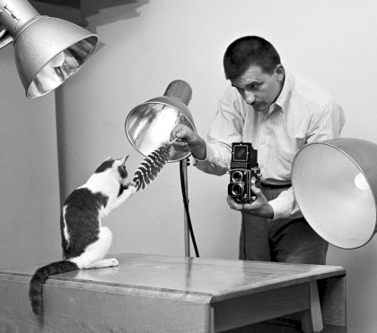 katzen-walter-chandoha-01-jpg--83517-.jpg