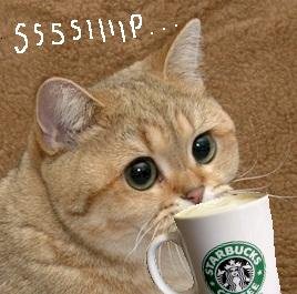 ssssip.jpg