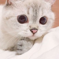 d5039fe99dd229c394cf600a52dd97f28d56ee0e9adfeccbe7a4430a7b6fc5a3.jpg