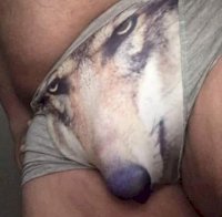 wolf pants.jpg