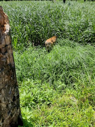 IMG_20220709_131528.jpg