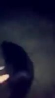 _2d90x.mp4