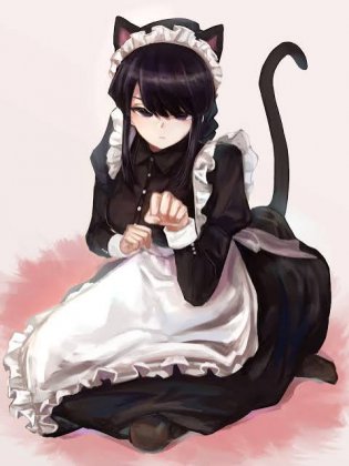 images (39).jpeg