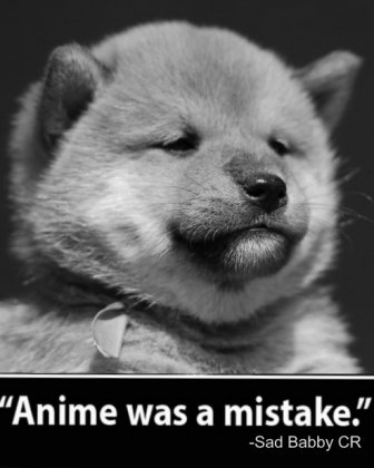 1000002555.jpeg
