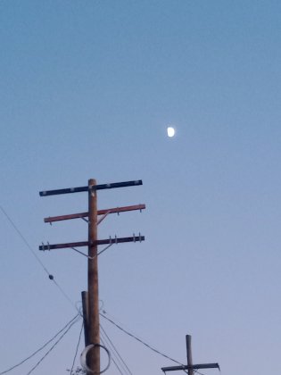 IMG_20211112_170934277.jpg