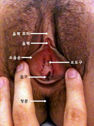 371a85e3cc1d1973c9de7deef86145d888dcc07d950b3ed86fc4bafcf314e697.jpg