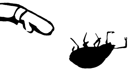 bf-4-small.png