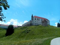 IMG_20200714_123320_0.jpg