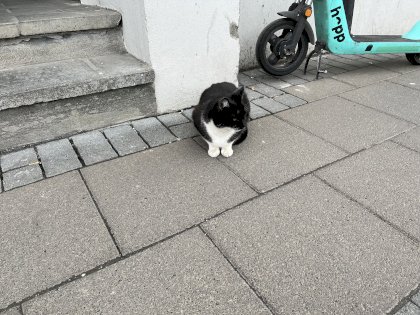 IMG_1711.jpeg