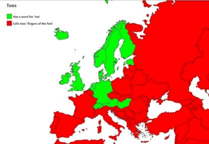 468e5d5d1261f4f6.jpg