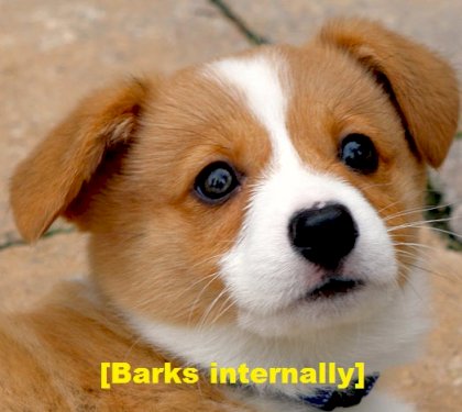 [internal organs filled with bark].jpg