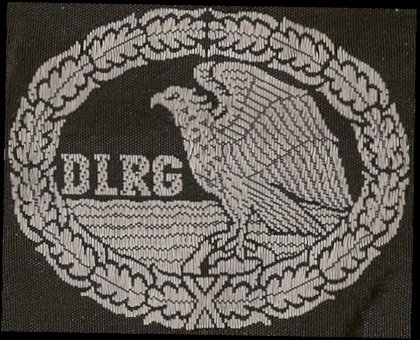 DLRG-Rettungsschwimmabzeichen_Silber_(Stoffabzeichen).jpg