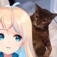 cot_wali_anime.mp4