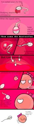 IMG_1443.png