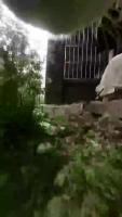 1757600434435865.webm