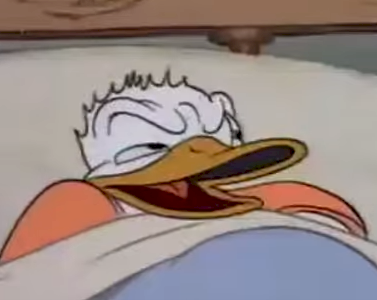 babe8f86e931c5e1.png