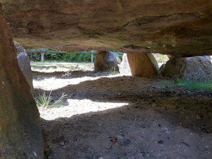20220717_123350.jpg