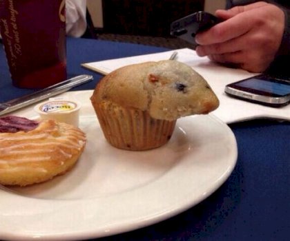 rat muffin.jpg