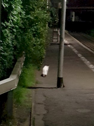 20230812_034647.jpg