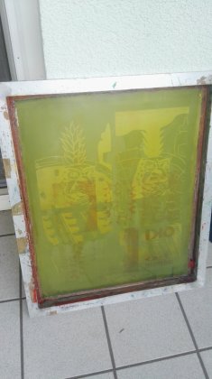 IMG_20210801_131216.jpg