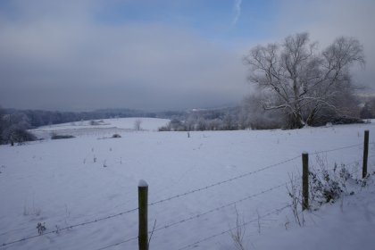 R0001867.jpg