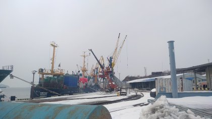 IMG_20200301_141220.jpg