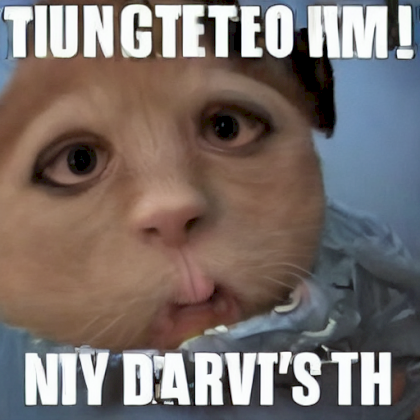 funny meme.png