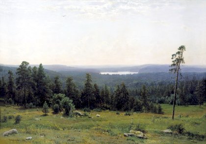 Иван Иванович Шишкин - Лесные дали (1884).jpg