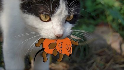 IMG_20210801_193446.jpg