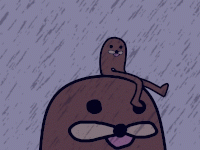 1543272855754.gif