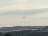 53E4C987-5C4B-4CC9-BCAB-CE78EE543C48.jpeg