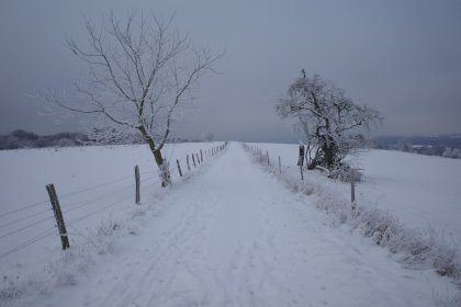 R0001852.jpg