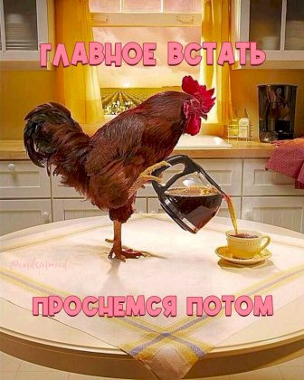 IMG-564f01eeaa7ea98f0ae75933837211b4-V.jpg