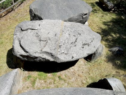 20220717_124903.jpg