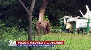 images (1).jpeg